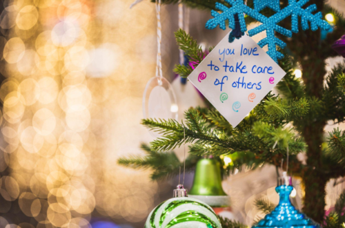 Deck the Halls with the Perfect Christmas Tree | Everything You Need to Know